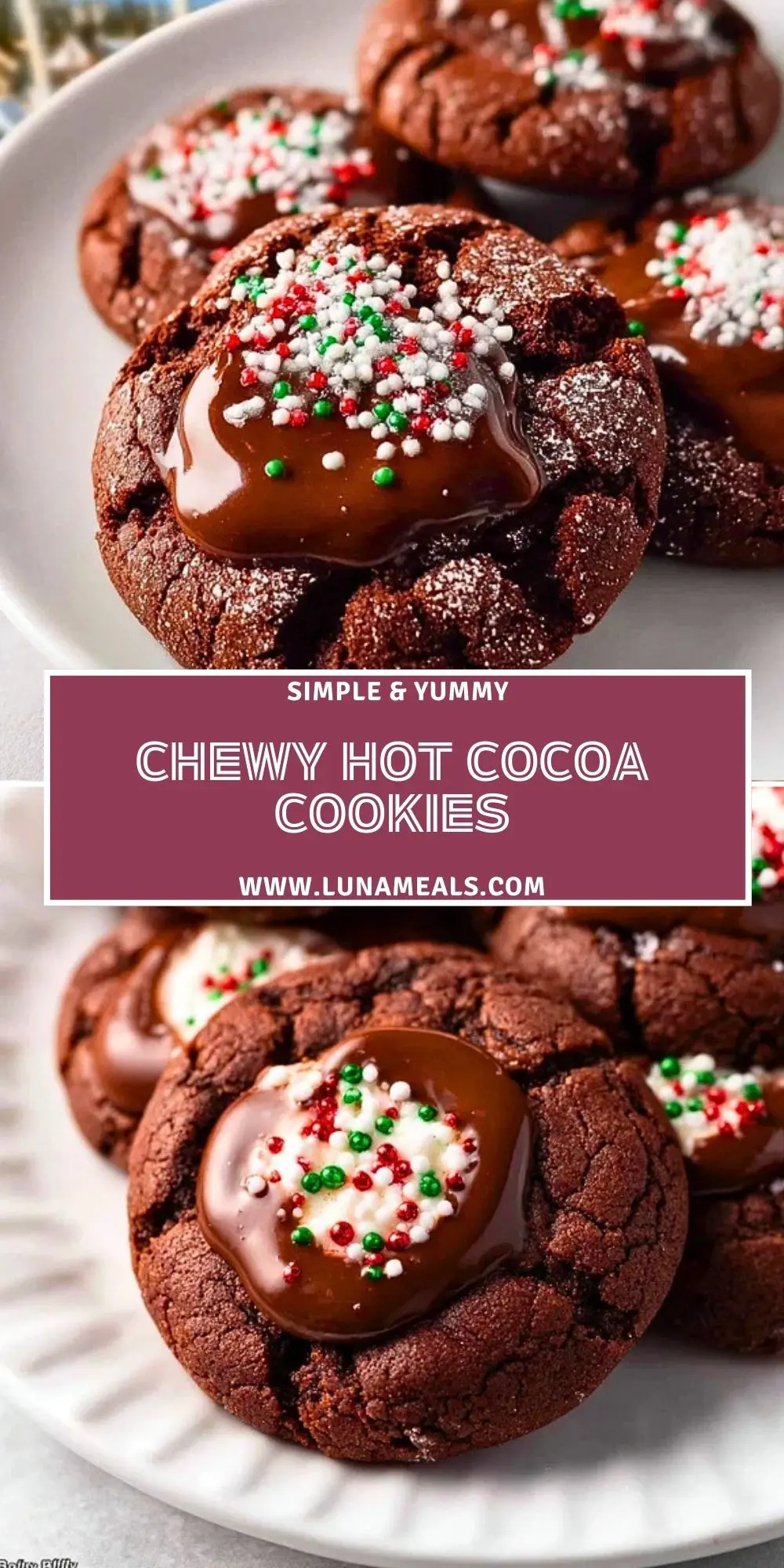 Chewy Hot Cocoa Cookies (2)