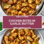 Chicken Bites In Garlic Butter (2)
