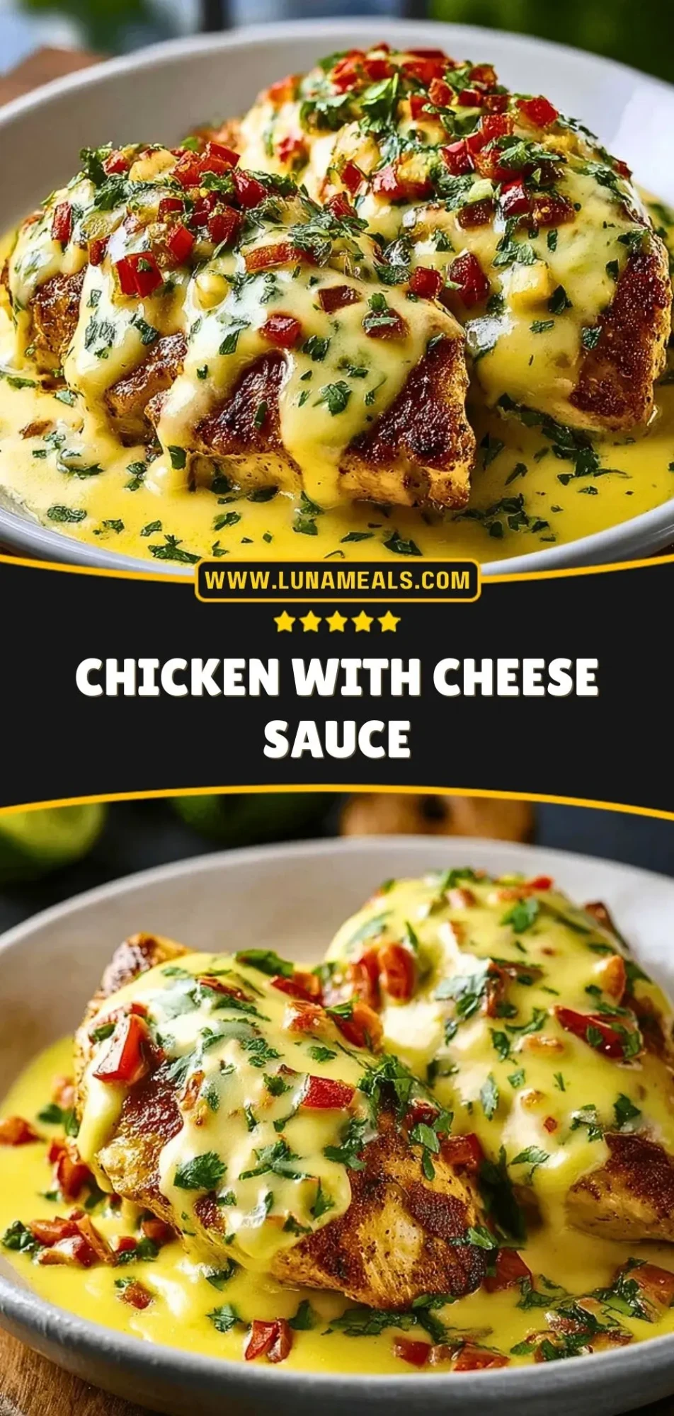 Chicken with Cheese Sauce (3)