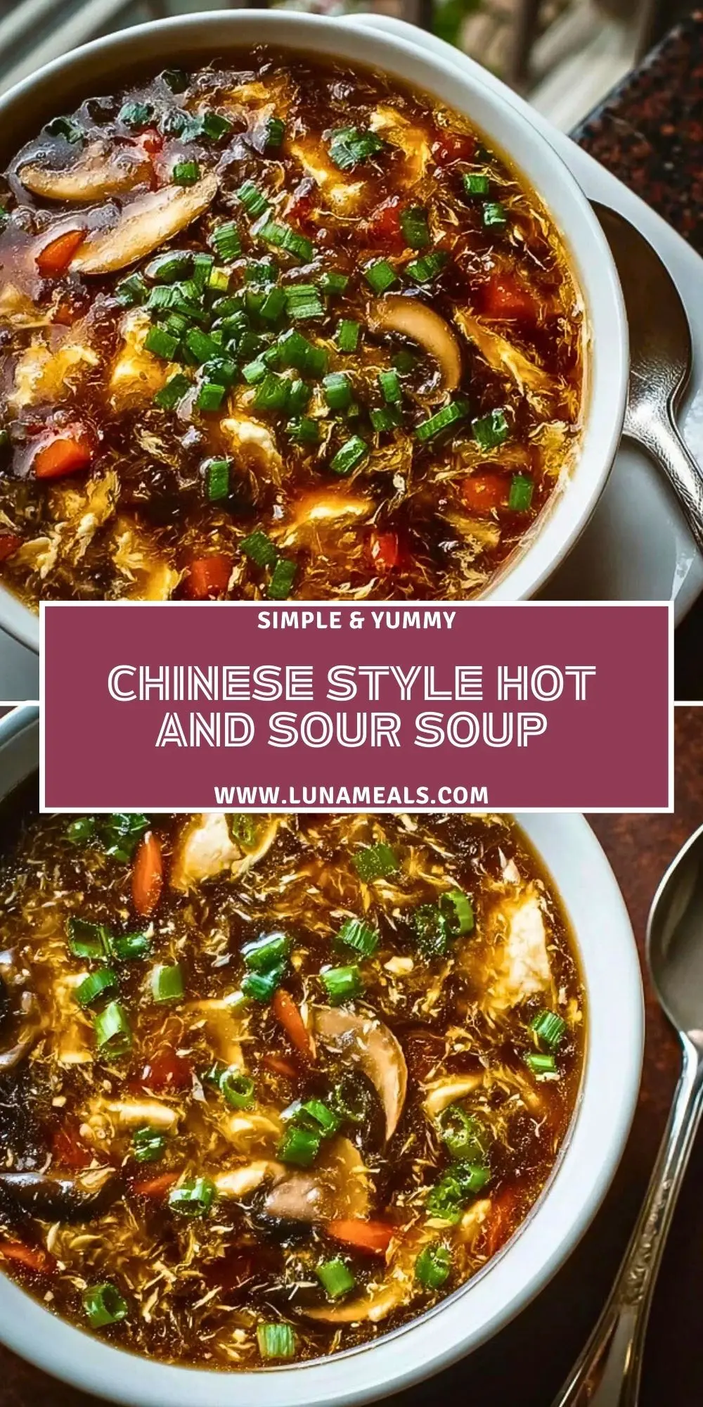 Chinese Style Hot and Sour Soup (2)