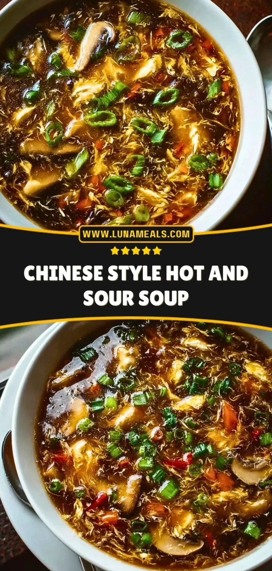 Chinese Style Hot and Sour Soup (3)