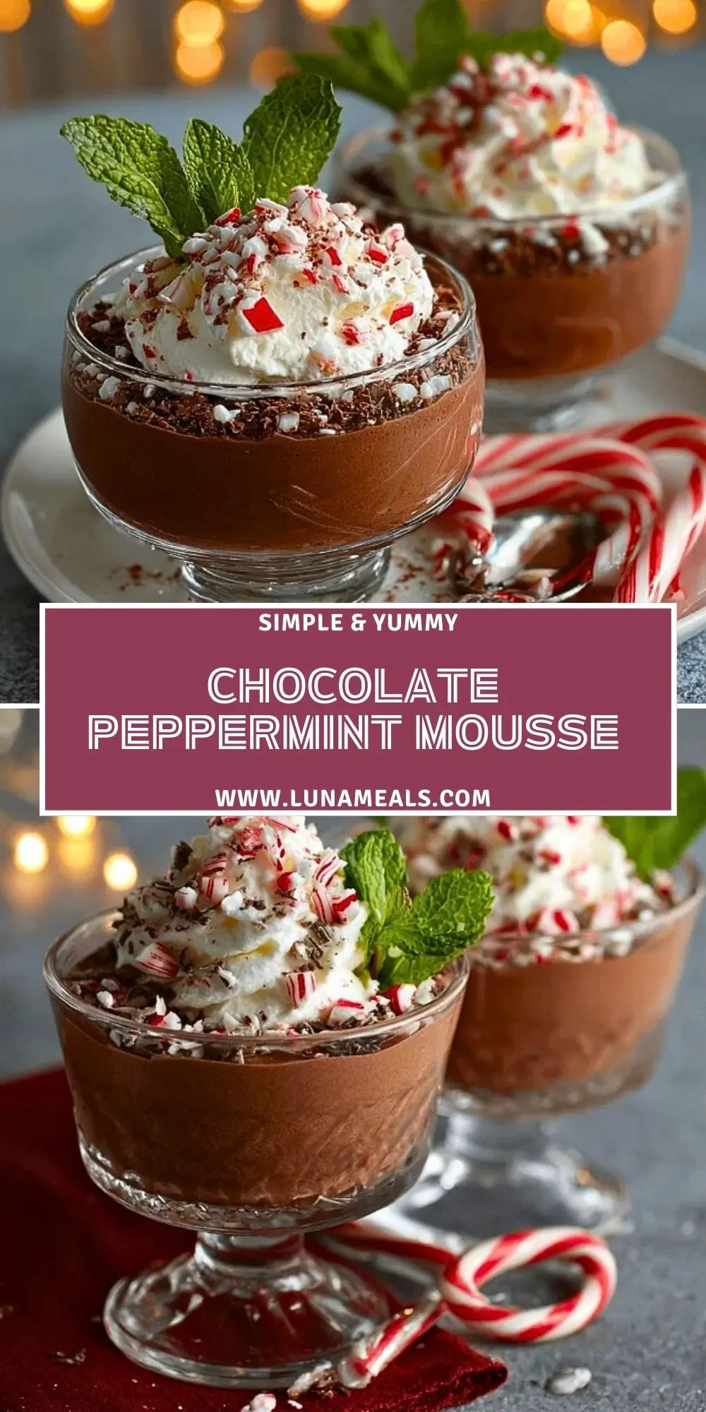 Chocolate Peppermint Mousse (2)