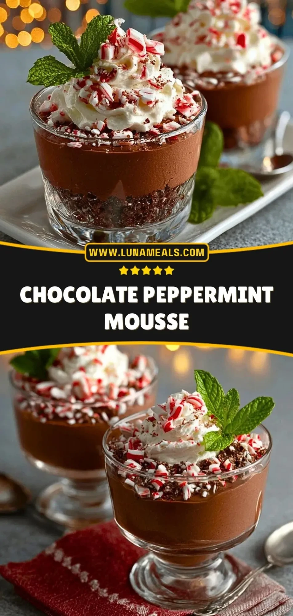 Chocolate Peppermint Mousse (3)