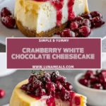 Cranberry White Chocolate Cheesecake (2)