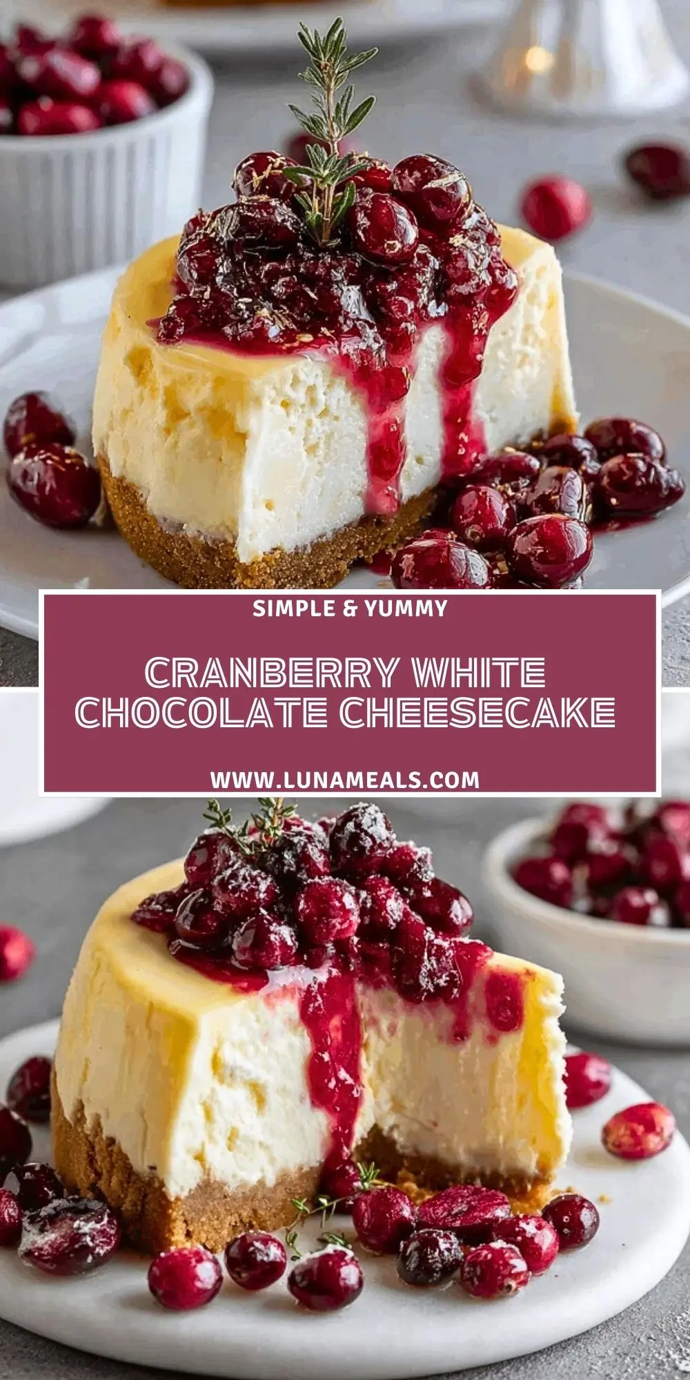 Cranberry White Chocolate Cheesecake (2)