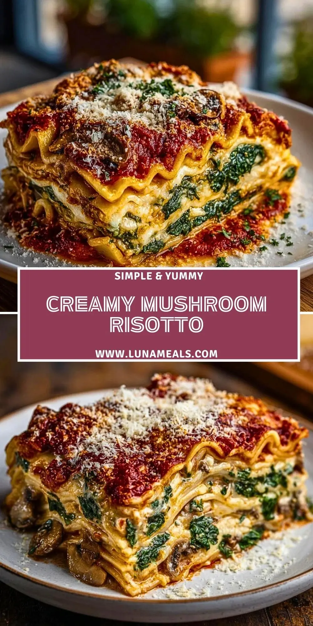 Creamy Mushroom Risotto (2)