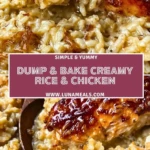 Dump & Bake Creamy Rice & Chicken (2)