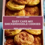 Easy Cake Mix Snickerdoodle Cookies (2)