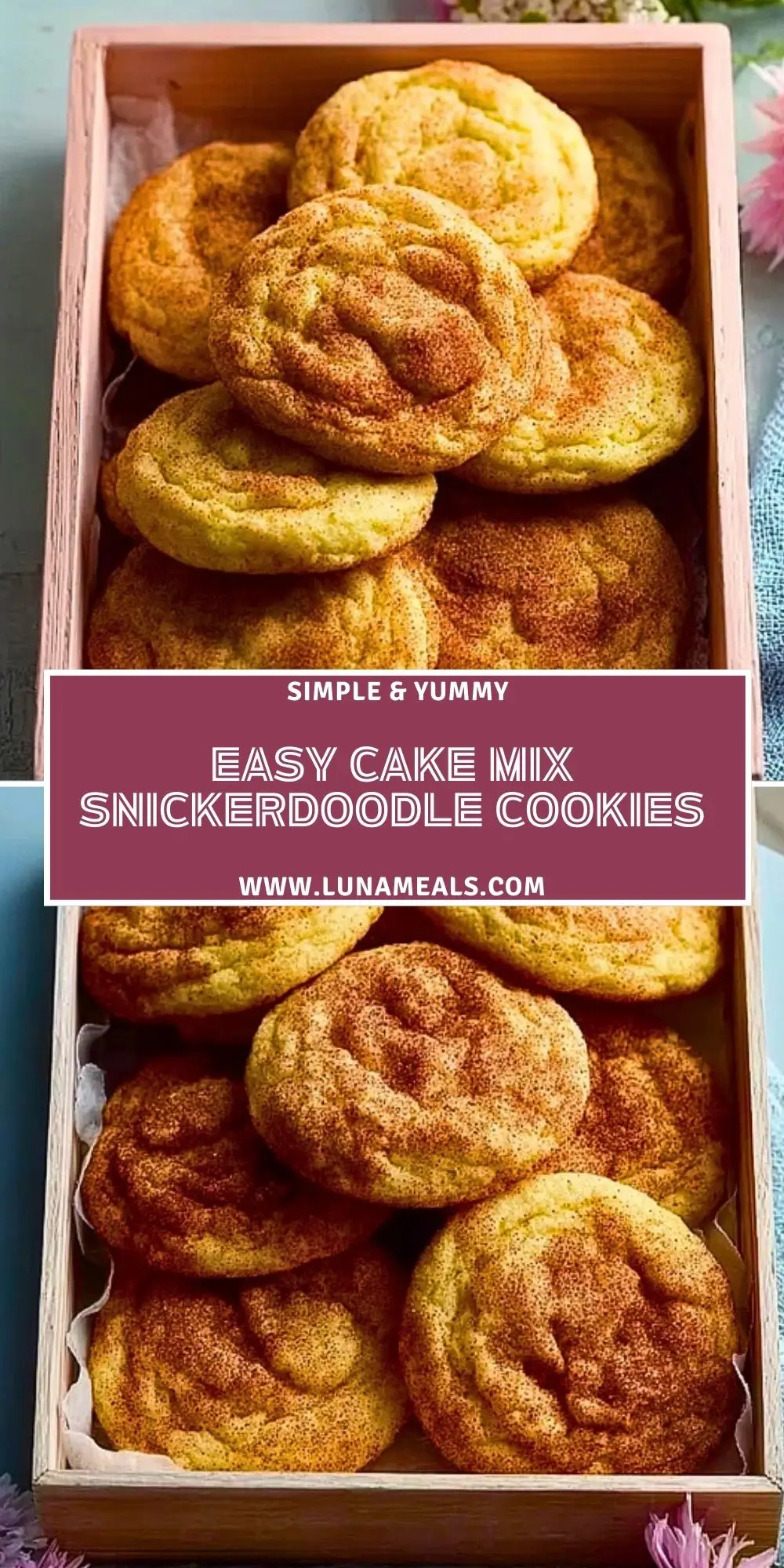 Easy Cake Mix Snickerdoodle Cookies (2)