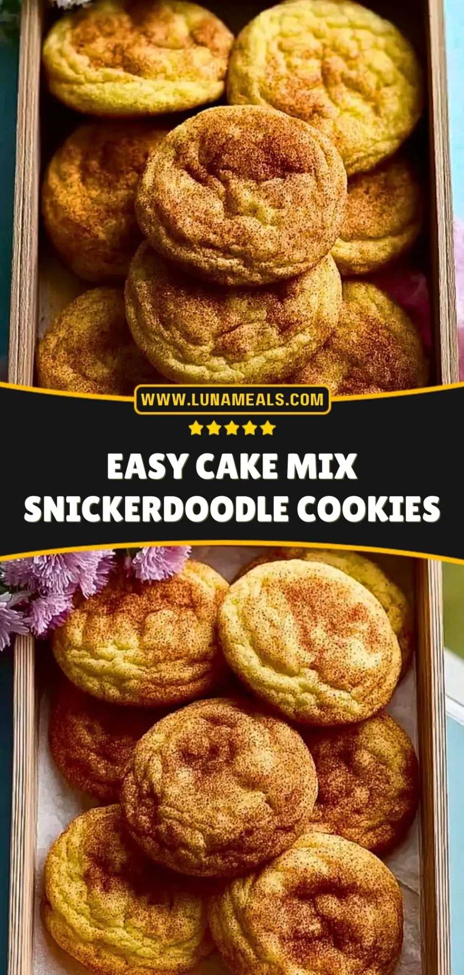 Easy Cake Mix Snickerdoodle Cookies (3)