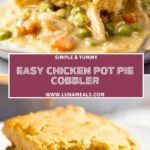 Easy Chicken Pot Pie Cobbler (2)