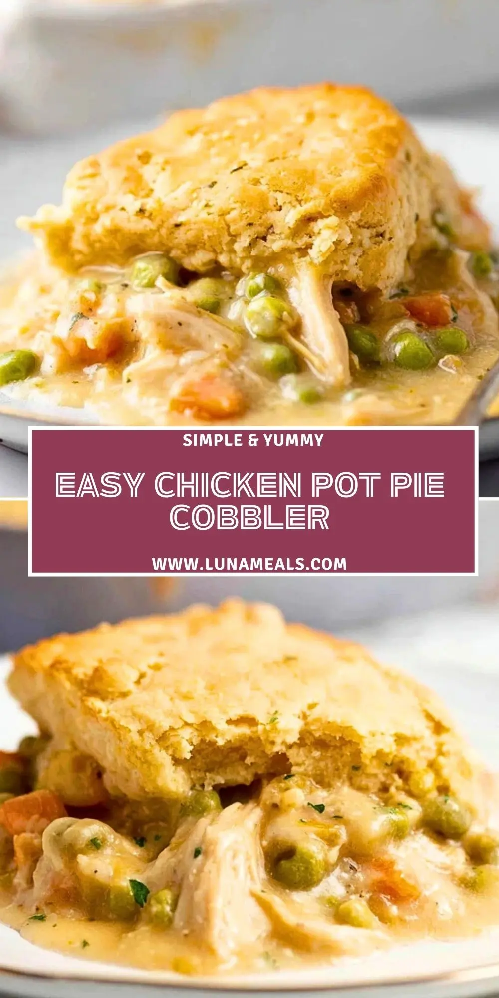 Easy Chicken Pot Pie Cobbler (2)