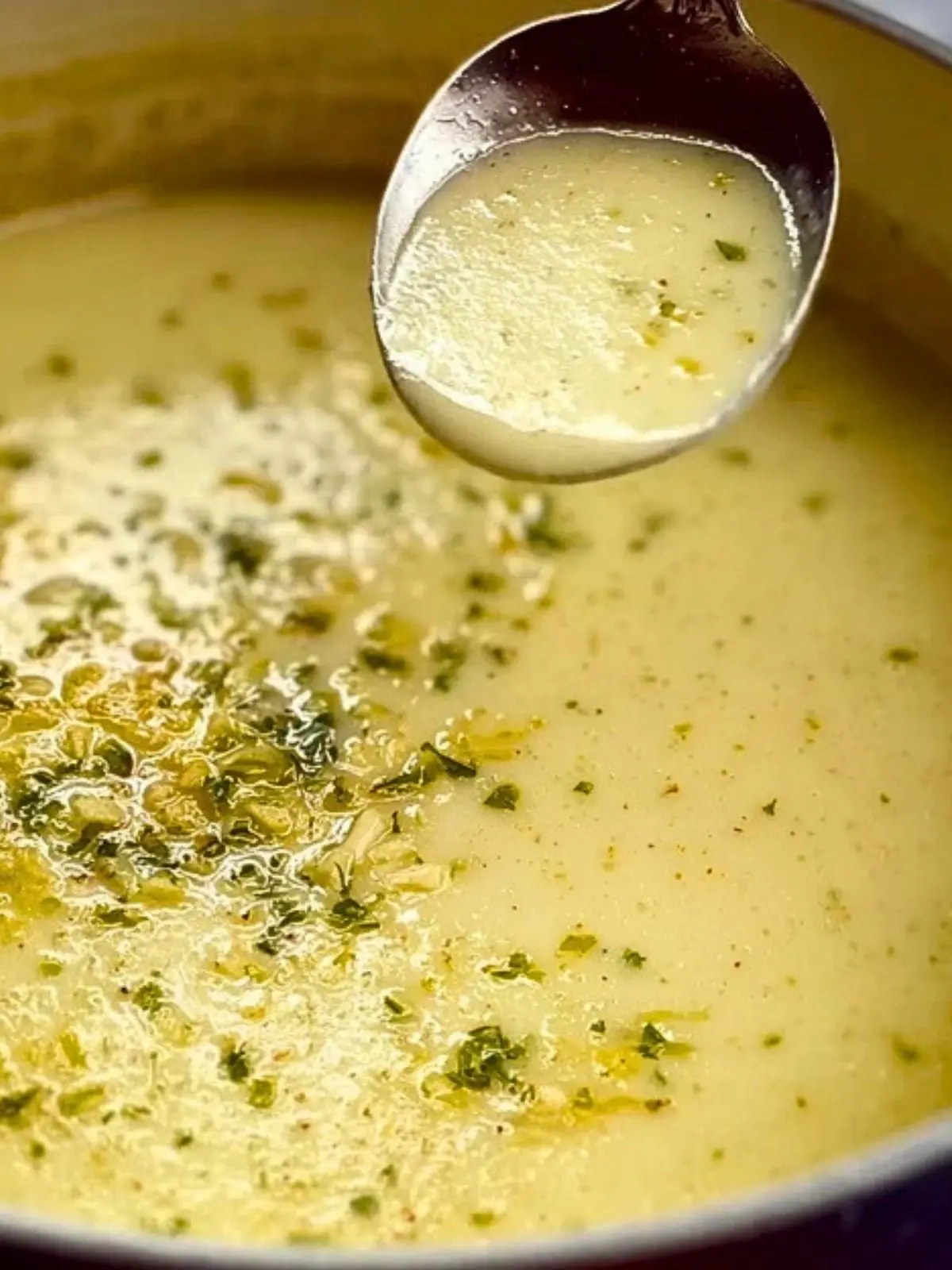 Easy Country French Style Garlic Soup (1)