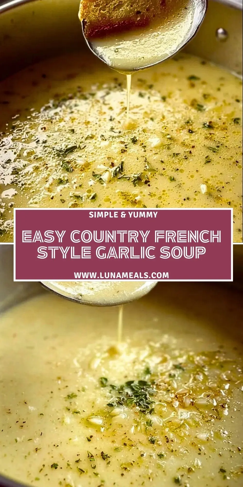 Easy Country French Style Garlic Soup (2)
