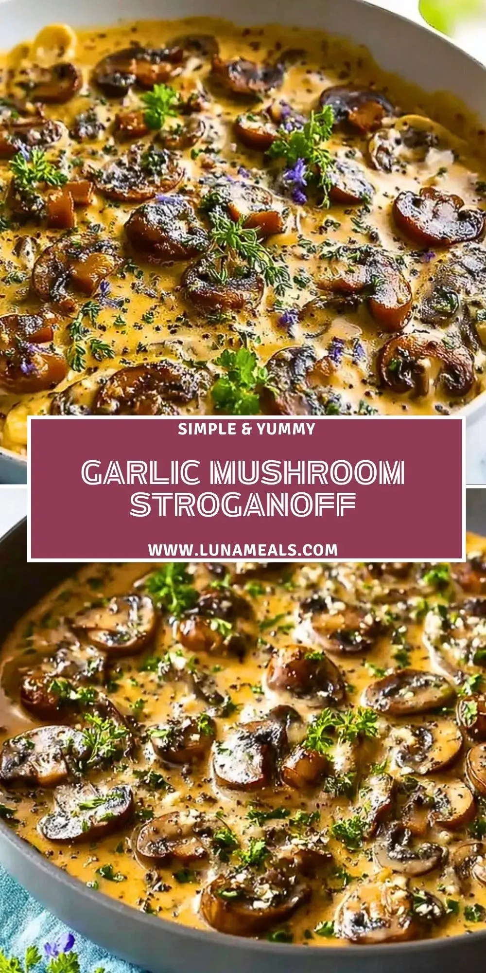 Garlic Mushroom Stroganoff (2)