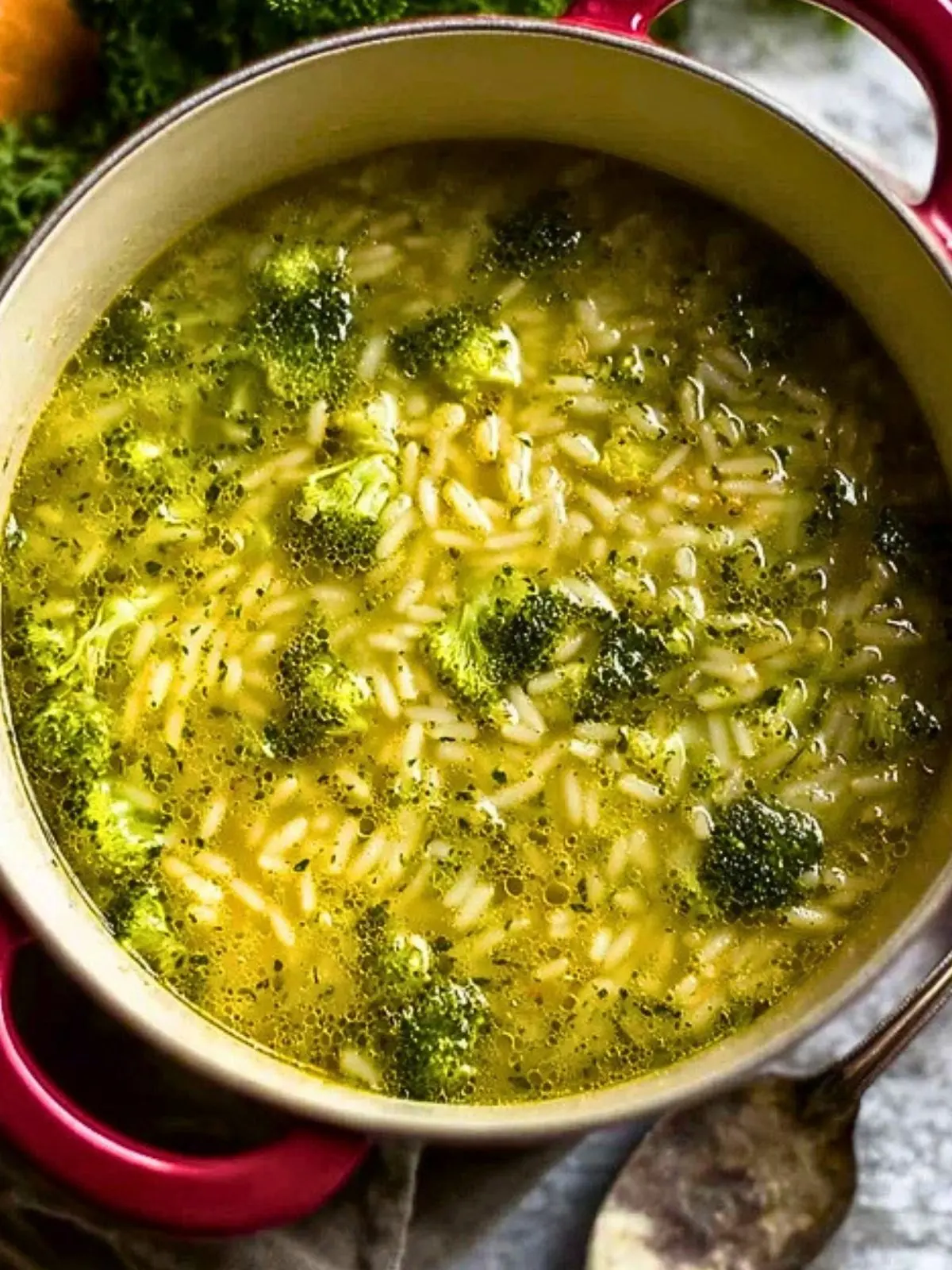 Homemade Italian Broccoli Soup (1)
