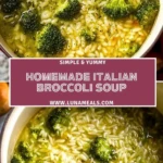 Homemade Italian Broccoli Soup (2)