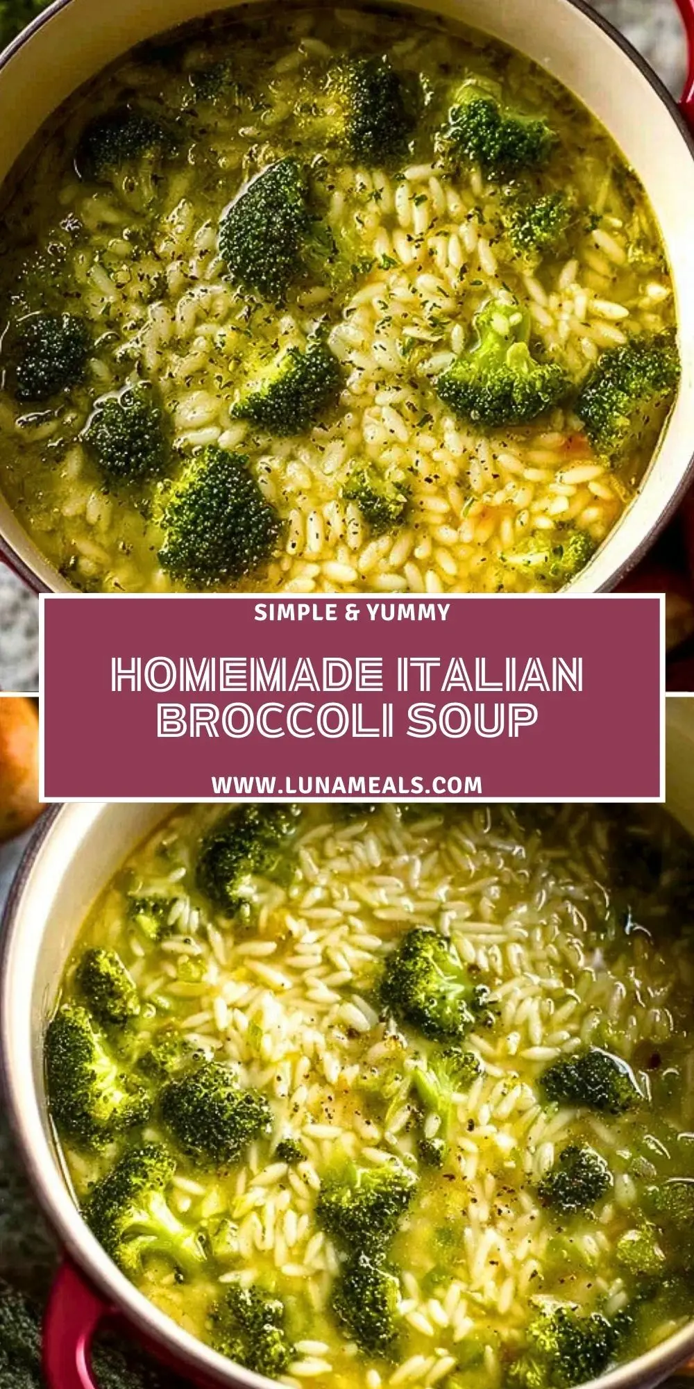 Homemade Italian Broccoli Soup (2)