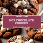 Hot Chocolate Cookies (2)