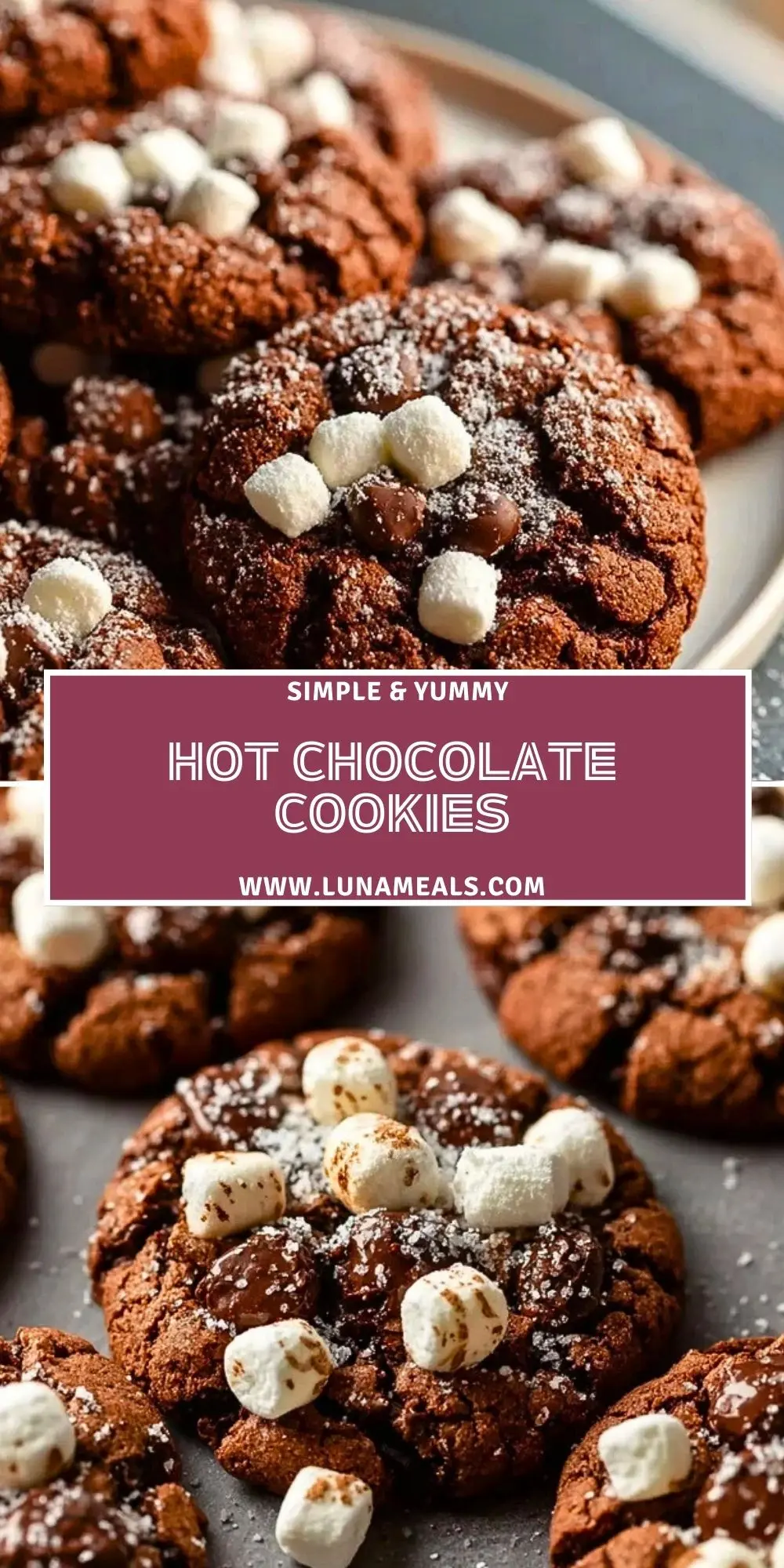 Hot Chocolate Cookies (2)