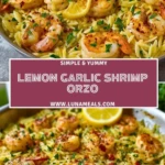 Lemon Garlic Shrimp Orzo (2)