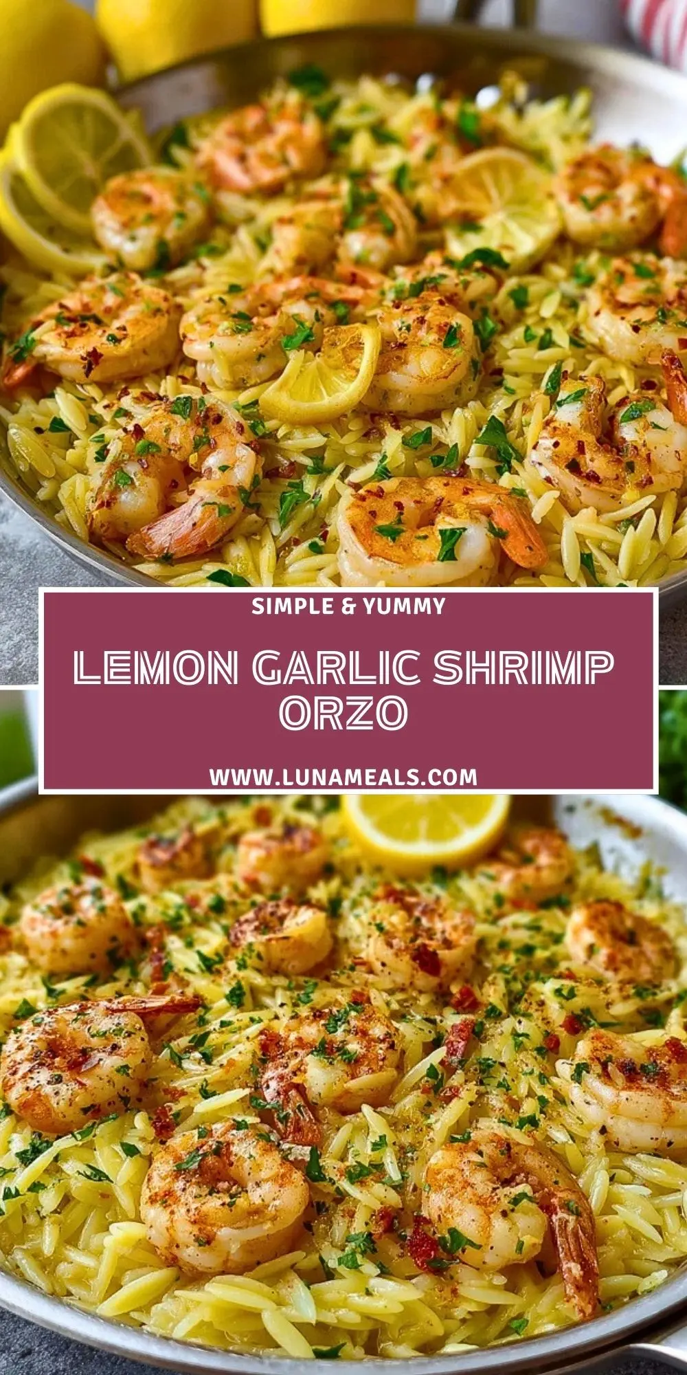 Lemon Garlic Shrimp Orzo (2)
