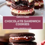 Chocolate Sandwich Cookies (2)