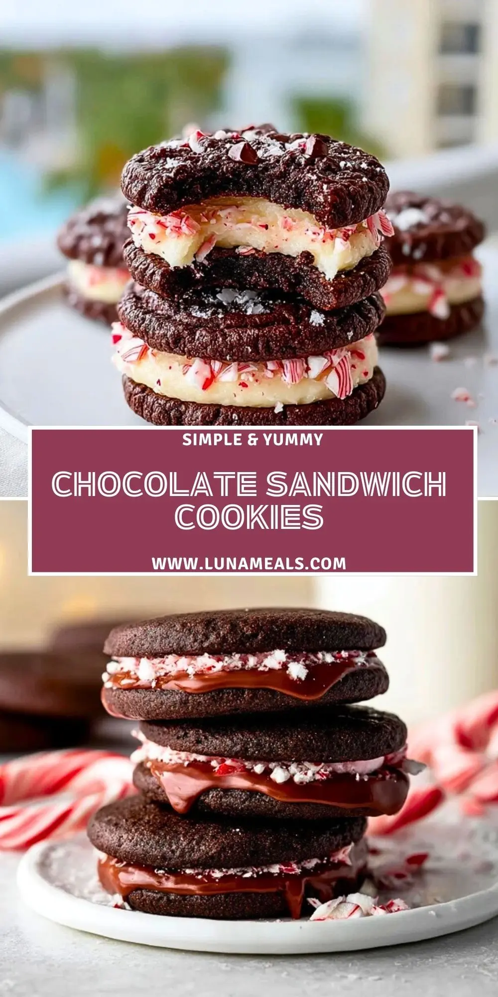 Chocolate Sandwich Cookies (2)