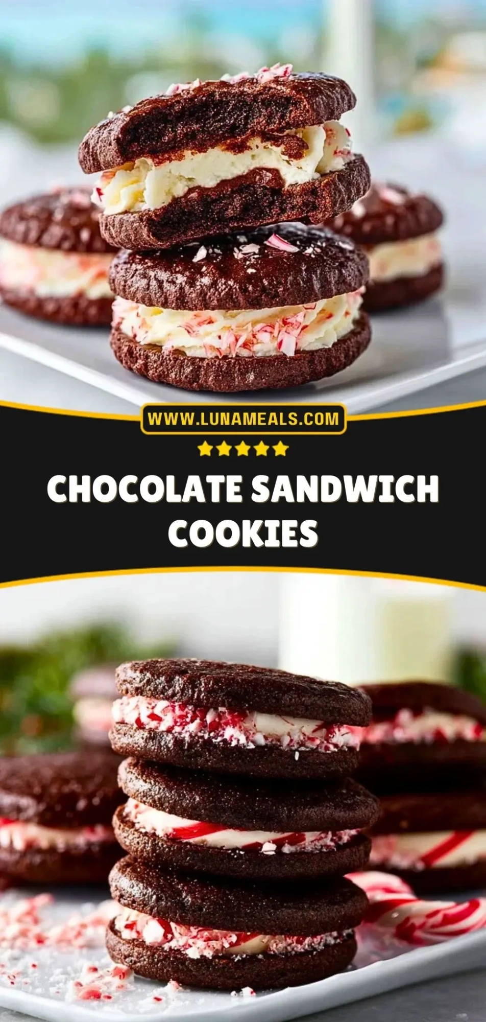 Chocolate Sandwich Cookies (3)