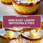 Mini Baby Lemon Impossible Pies (2)