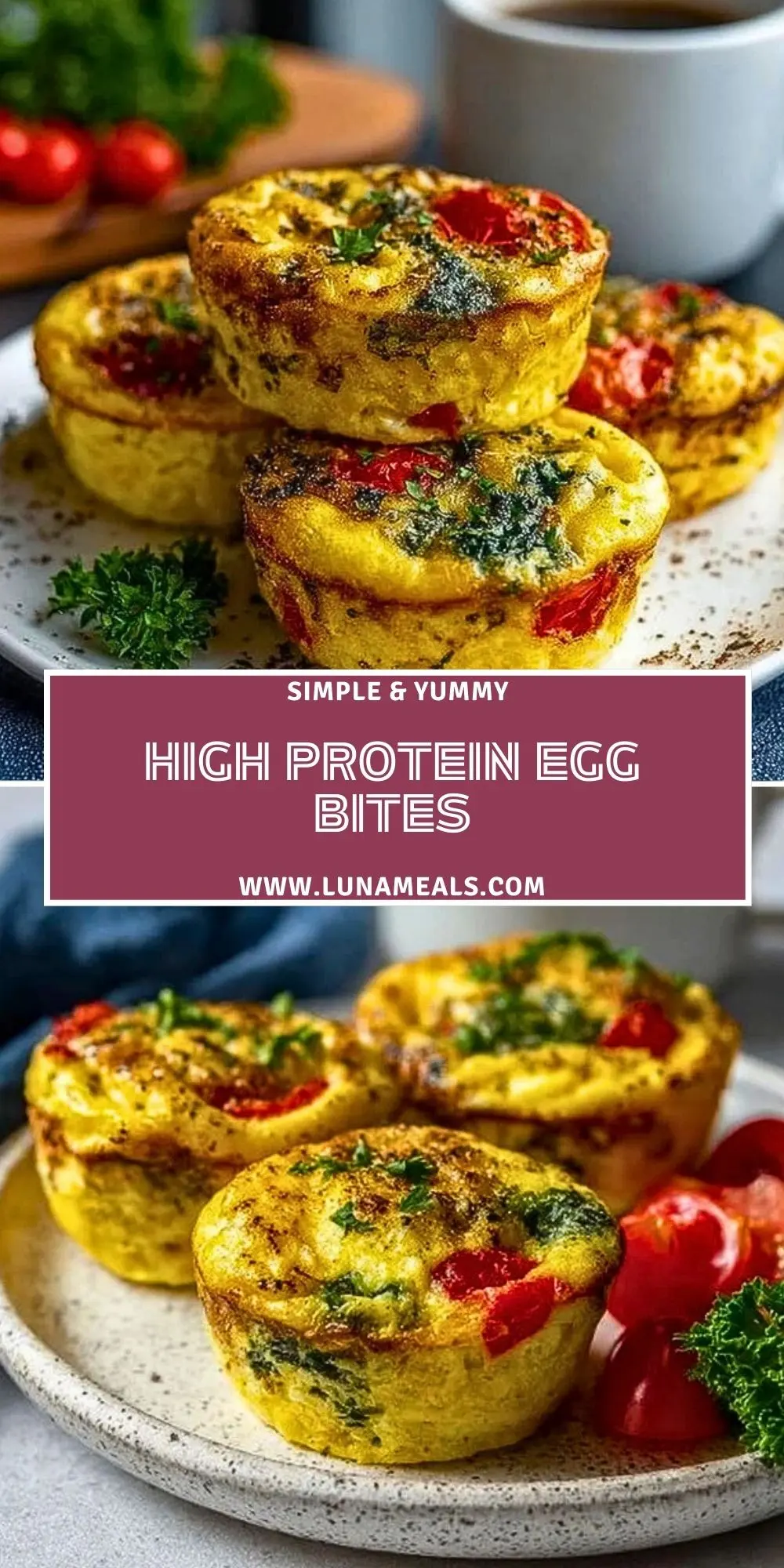 High Protein Egg Bites (2)