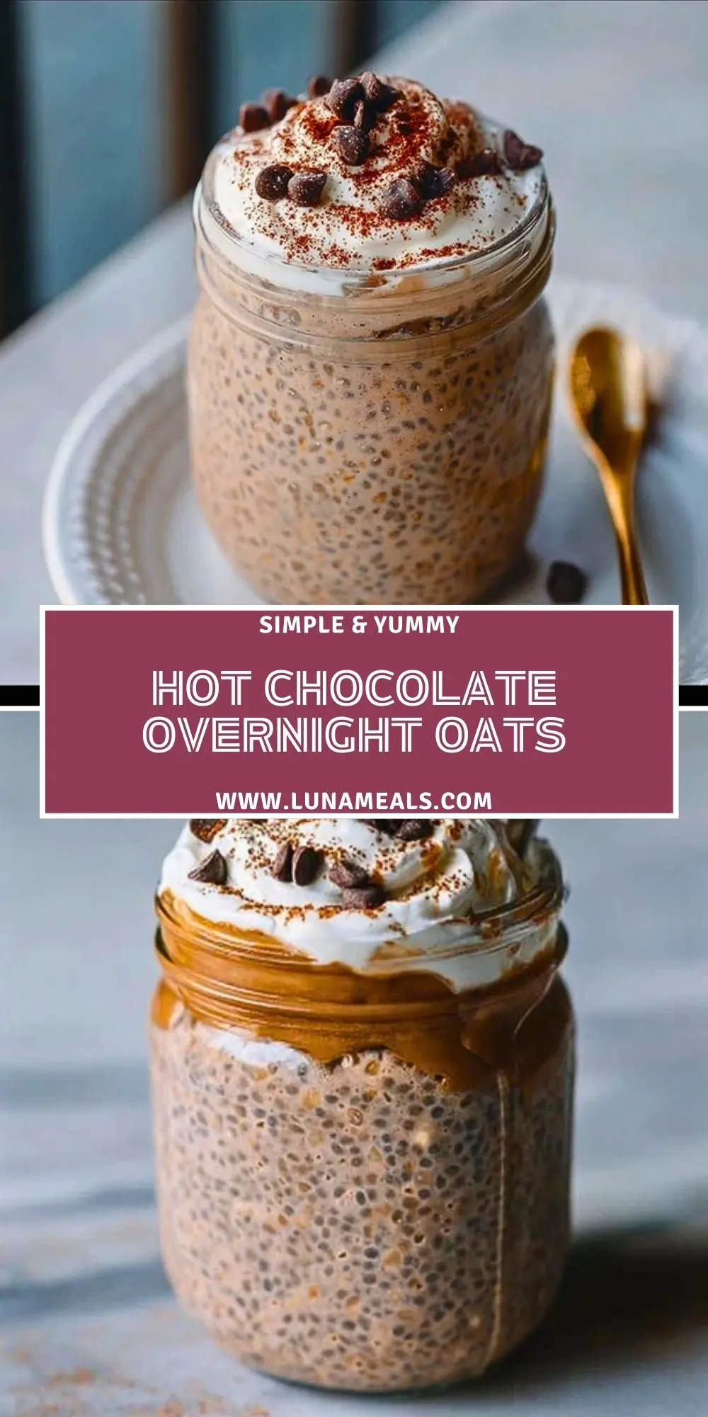 Hot Chocolate Overnight Oats (2)