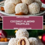 Coconut Almond Truffles (3)