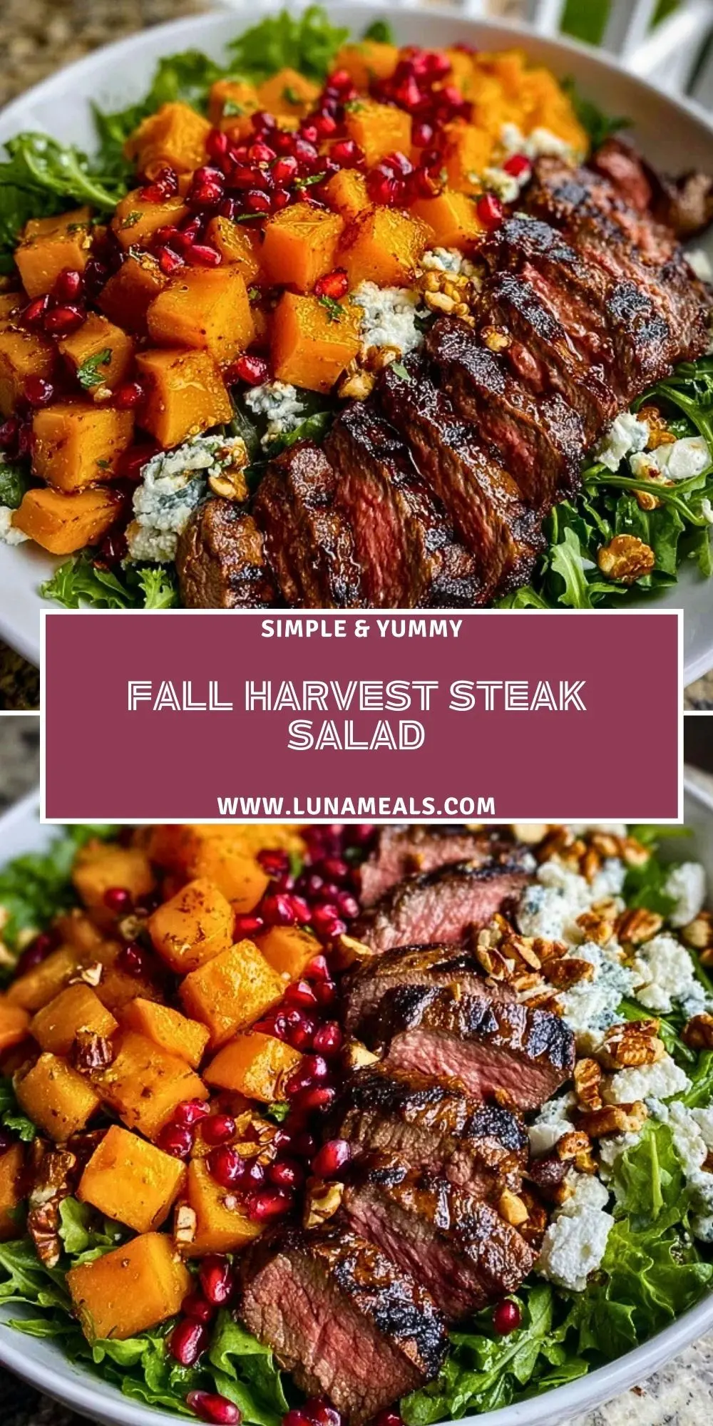 Fall Harvest Steak Salad (2)