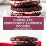 Chocolate Peppermint Sandwich Cookies (2)