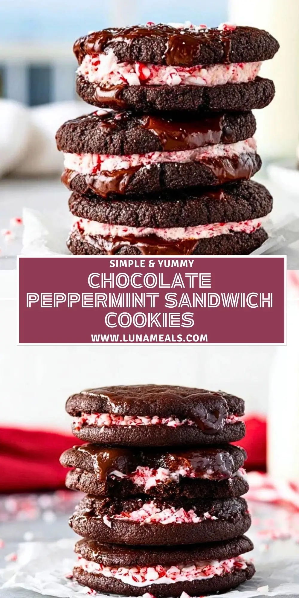 Chocolate Peppermint Sandwich Cookies (2)