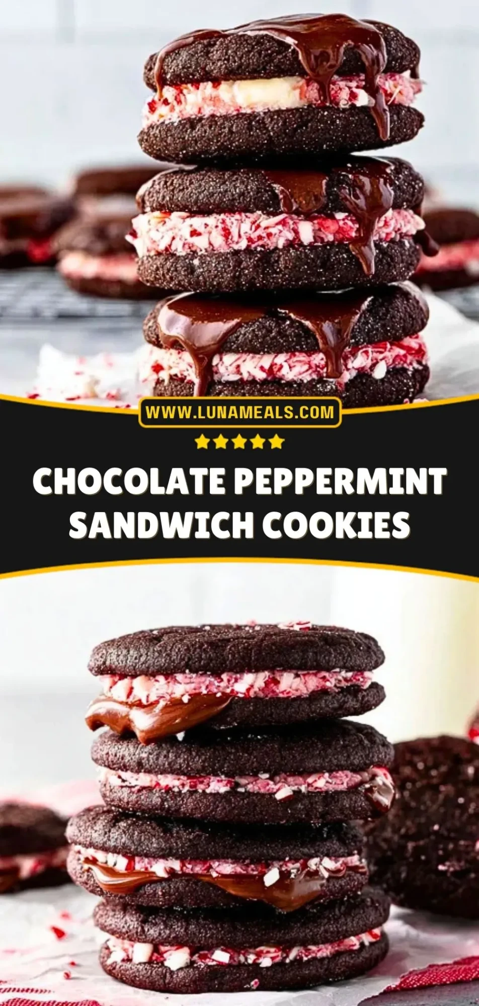 Chocolate Peppermint Sandwich Cookies (3)