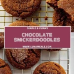 Chocolate Snickerdoodles (2)