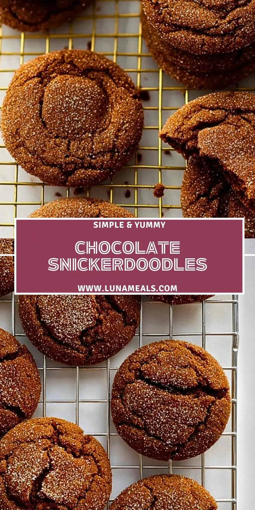 Chocolate Snickerdoodles (2)