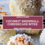 Coconut Snowball Cheesecake Bites (2)
