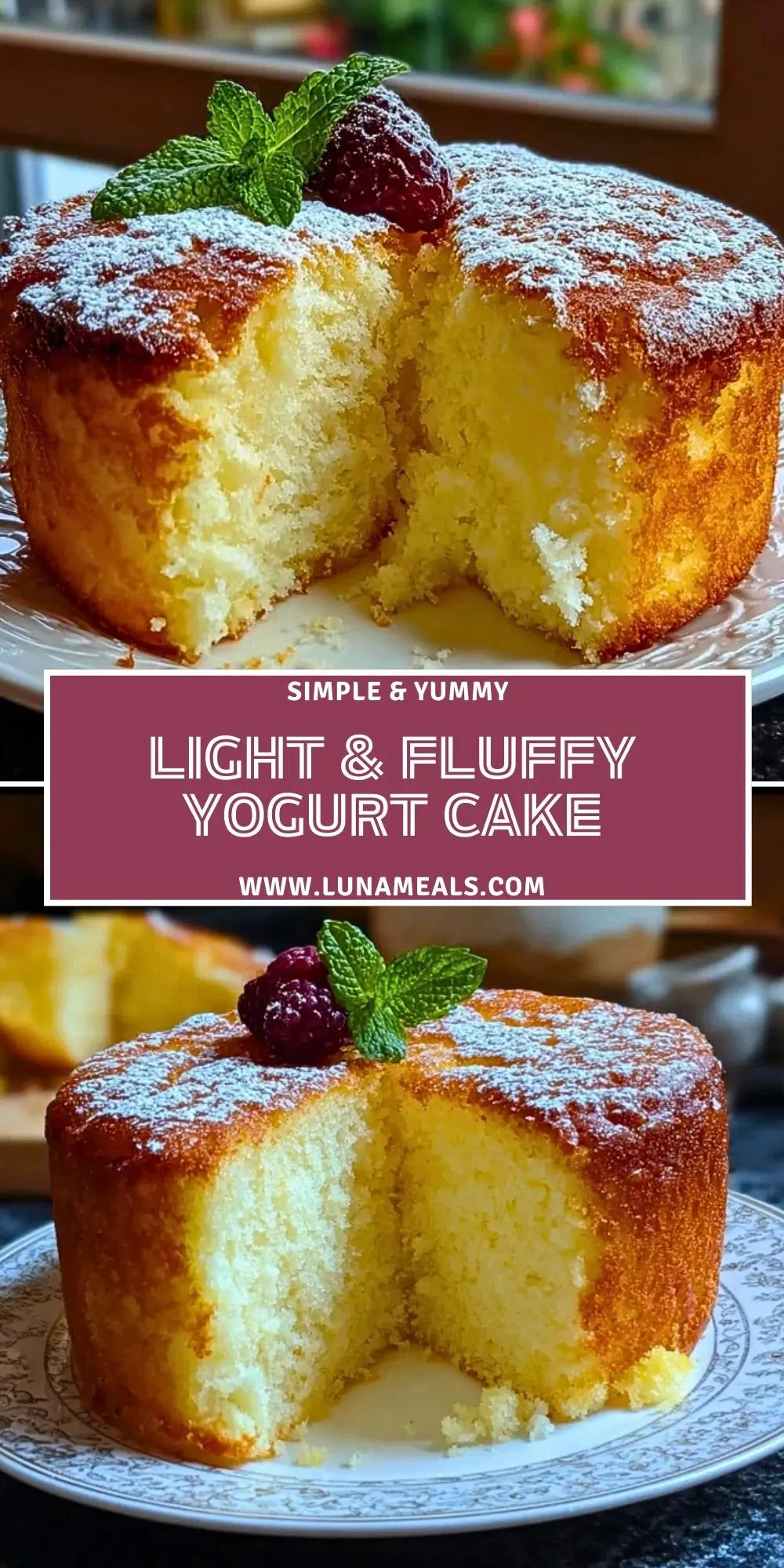 Light & Fluffy Yogurt Cake (2)