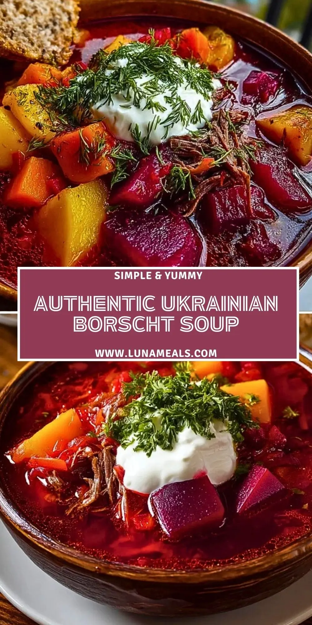 Authentic Ukrainian Borscht Soup (2)