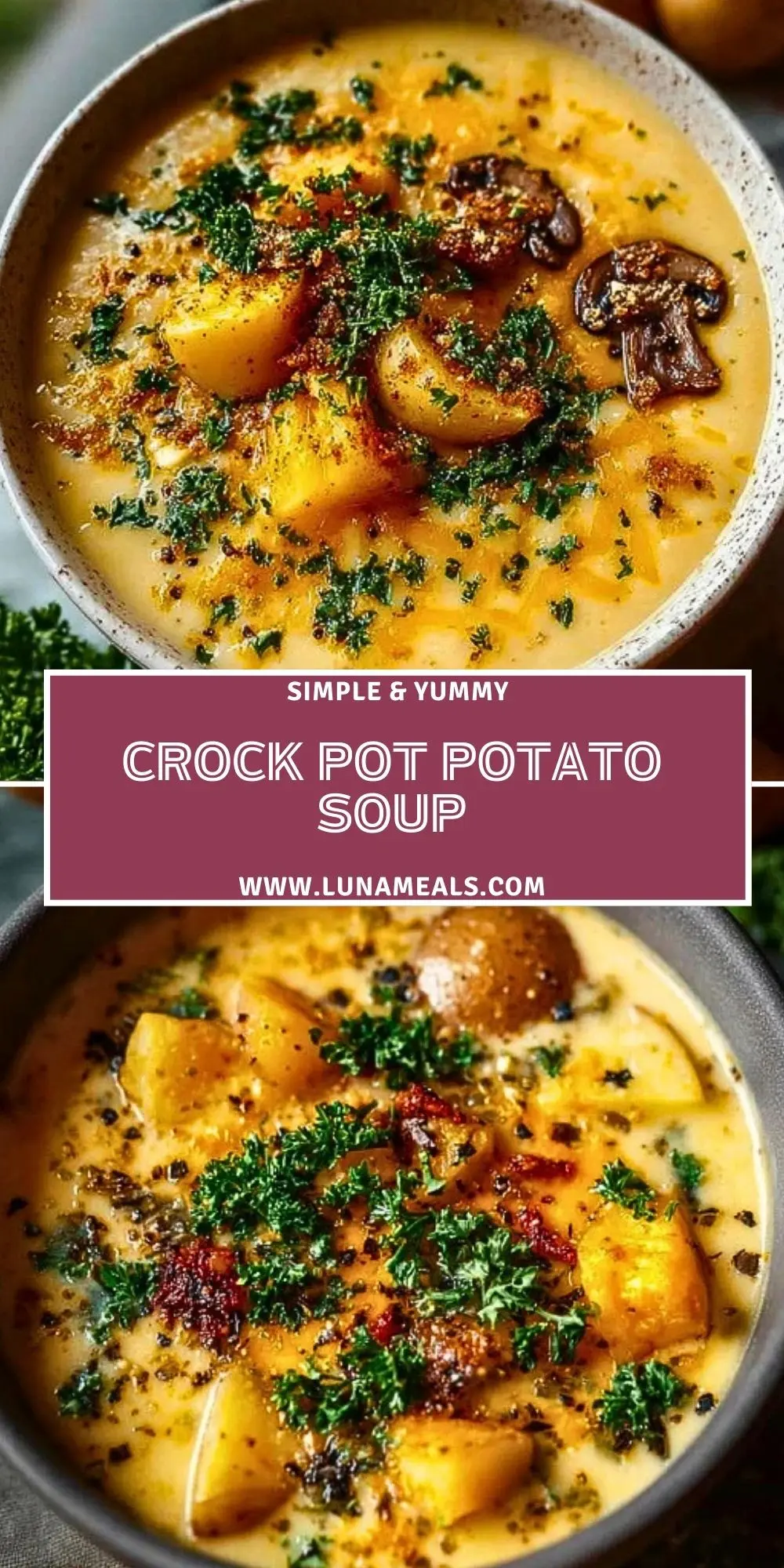 Crock Pot Potato Soup (2)