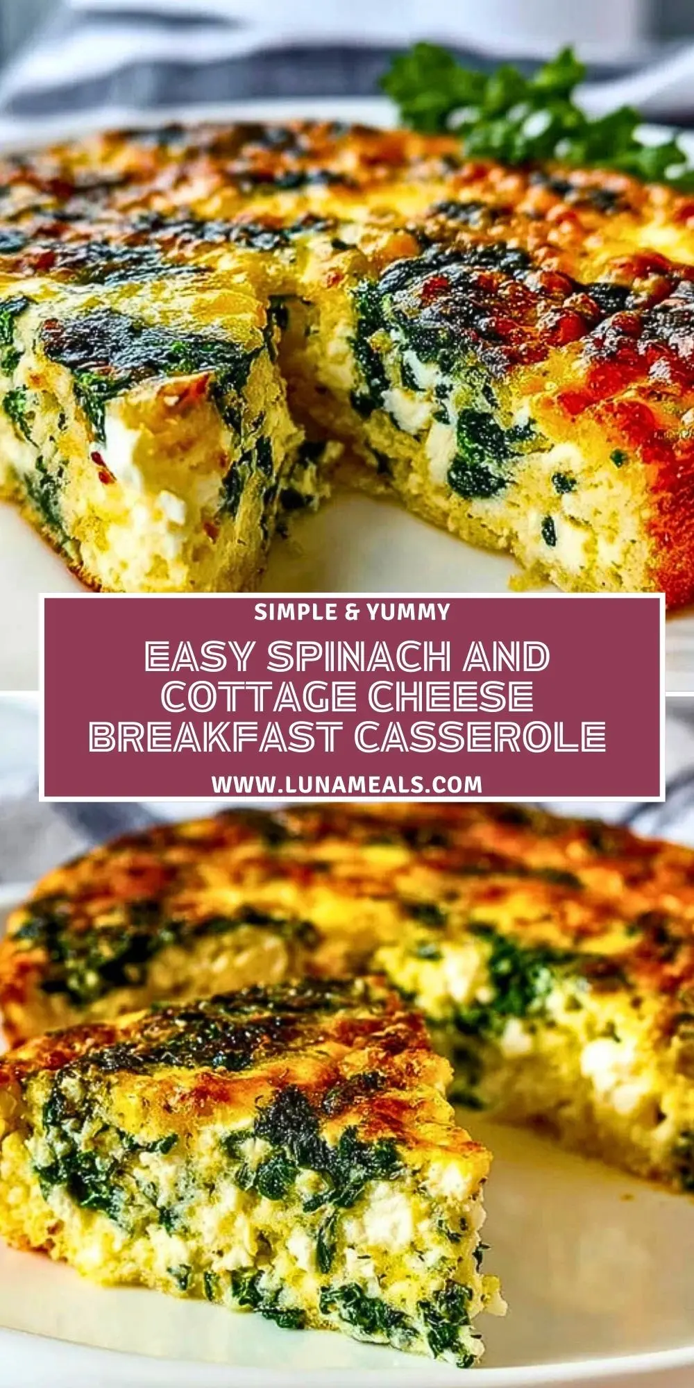 Easy Spinach and Cottage Cheese Breakfast Casserole (2)