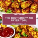 The Best Crispy Air Fryer Tofu (2)