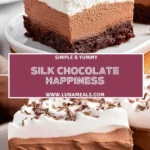 Silk Chocolate Happiness (2)