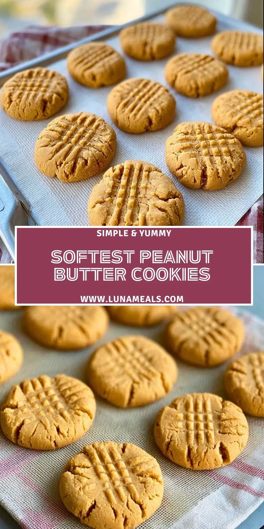 Softest Peanut Butter Cookies (2)