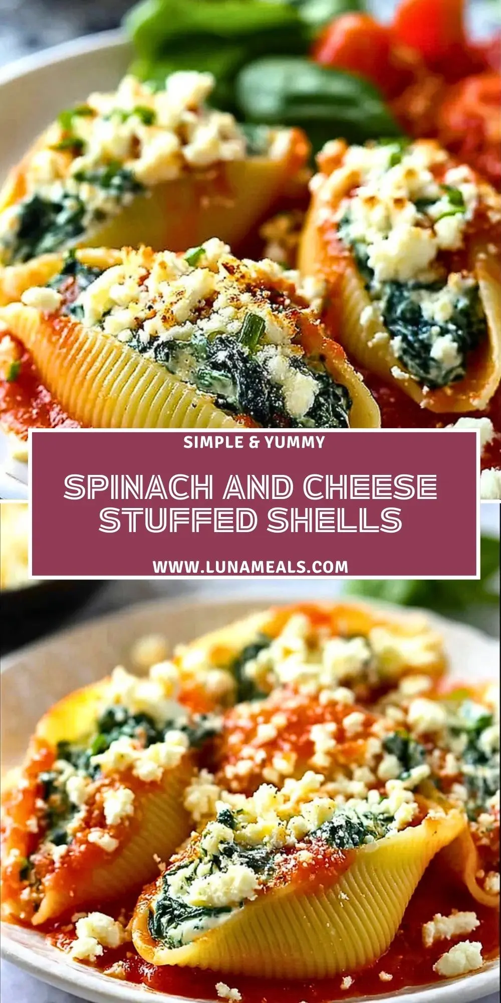 Spinach and Cheese Stuffed Shells (2)