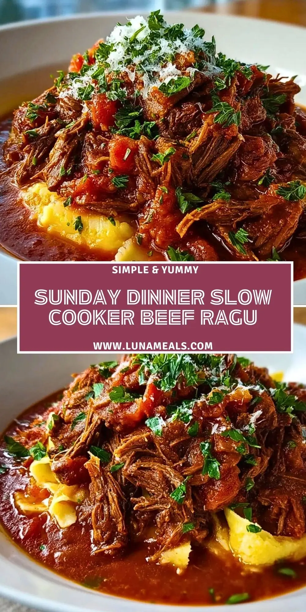 Sunday Dinner Slow Cooker Beef Ragu (2)