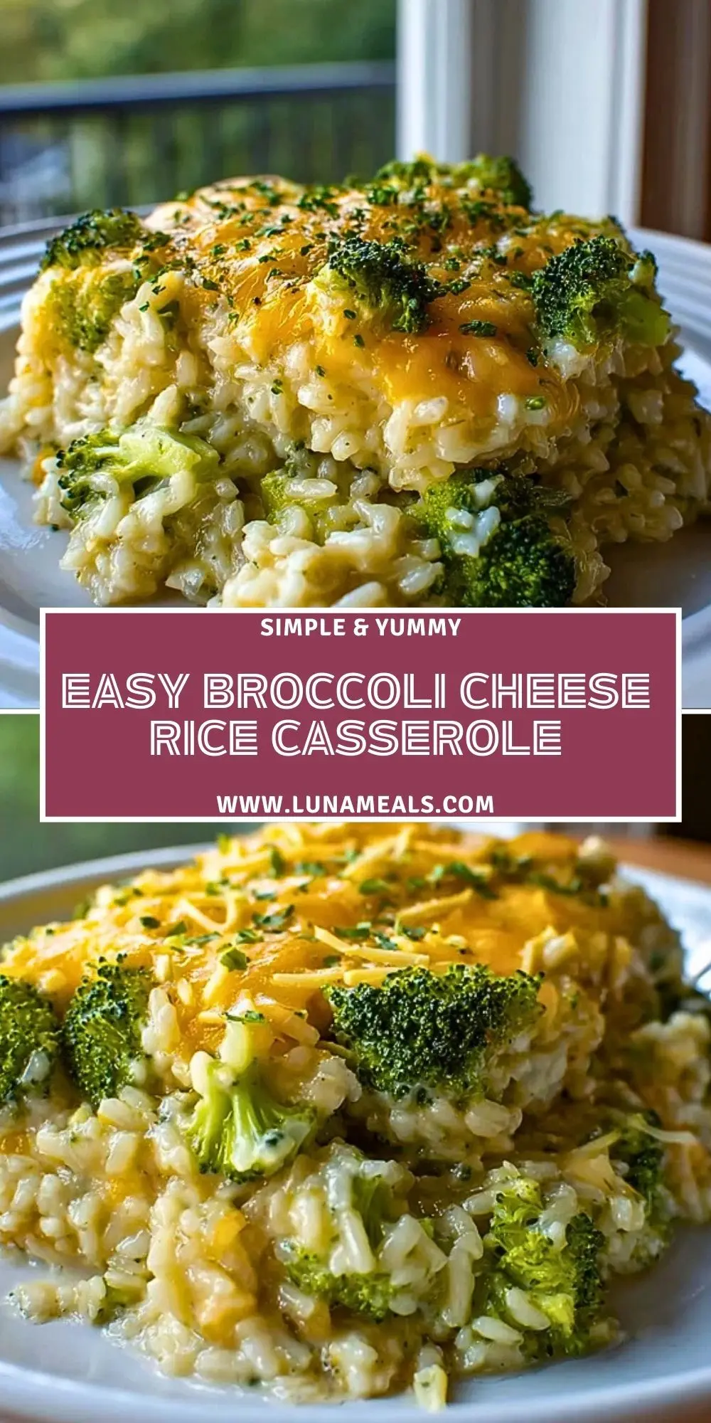 Easy Broccoli Cheese Rice Casserole (2)